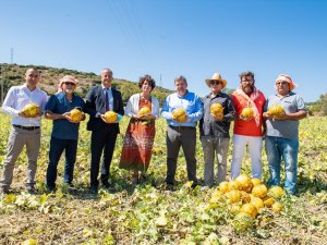 Tadı, Dayanıklılığı, Aromasıyla Meşhur Çeşme Kavunu Tescillendi