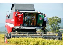 Tzob Genel Başkanı Çeltik Hasadı Yaptı