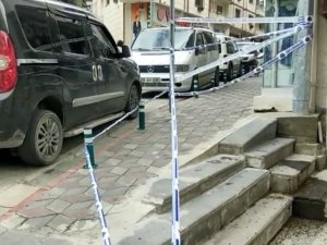 Artvin’de Caddeyi Arılar Bastı