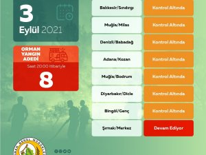 Orman Genel Müdürlüğü: “Bugün Çıkan 8 Orman Yangınının 7’sini Kontrol Altına Aldık”