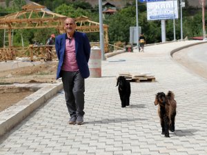 Her Yere Yavru Keçileri İle Gidiyor