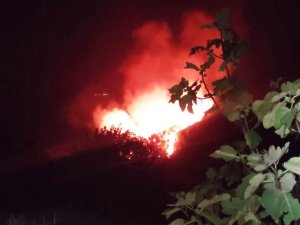 Bodrum’da Gece Çıkan Orman Yangını, Sabah Kontrol Altına Alındı