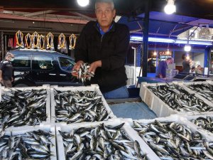 Balıkçılar Palamudu Bekliyor