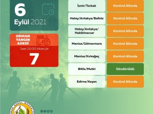 Orman Genel Müdürlüğü: “Bugün Çıkan 7 Orman Yangınının Tamamını Kontrol Altına Aldık”