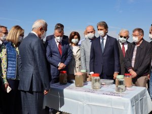 Müsilaj Araştırma Komisyonu İ̇zmit Körfezi’nde İncelemelerde Bulundu