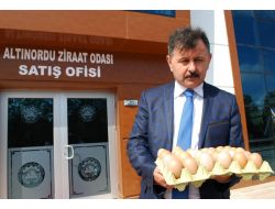 Köy Tavukçuluğu Projesi
