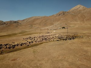 Havalar Soğudu Göçerlerin Zorlu Geri Dönüş Yolculuğu Başladı