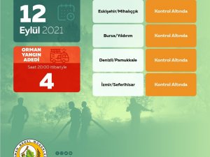 Ogm: “Bugün Çıkan 4 Orman Yangınının Tamamını Kontrol Altına Aldık”