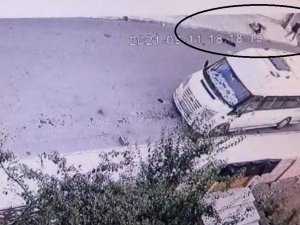 Çorum’da Pitbull Dehşeti