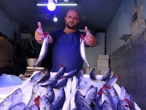 Palamut Tezgâhlarda İlk Kez Kendini Gösterdi