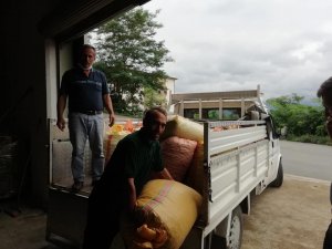 Fi̇skobi̇rli̇k Serbest Piyasanın Üzerinde Fındık Alımlarını Sürdürüyor