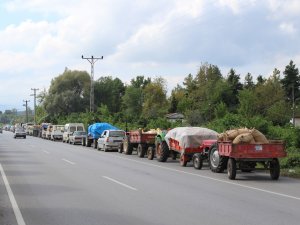Bu Da Fındık Kuyruğu