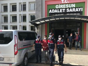 Fındık Hırsızları Suçüstü Yakalandı