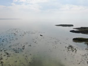 Uluabat Gölü Can Çekişiyor