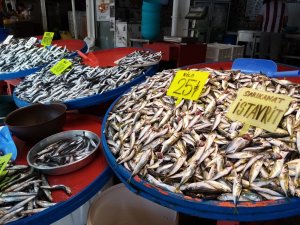4 Kiloluk Levreğin Kilosu 150 Liradan Satıldı