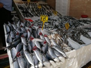 Bugün Günlerden ’Palamut’: Yarım Kiloluk Palamut 15 Lira