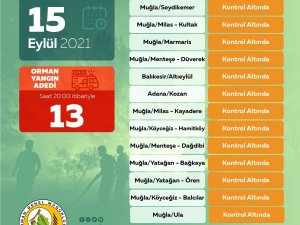 Ogm: “Bugün Çıkan 13 Orman Yangınının Tamamını Kontrol Altına Aldık”