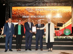 Ankara Tiftiğine "Coğrafi İ̇şaret" Tescili