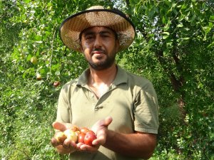 Yoldan Geçen Hünnap Tüccarı Hayatını Değiştirdi