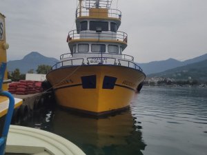 Karadeniz’de Balık Bolluğu Yaşanıyor