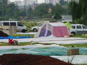Soydan: “Islanan Fındıkta Çürüme Riski Çok Artıyor”