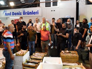 Sezonun İlk Balık Mezatı Yapıldı, Bir Kasa Barbun Bin Tl’ye Satıldı