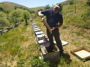 Bal Üretiminde Önemli Düşüş