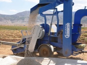 Bitlis’te Bu Yıl 40 Bin Ton Fasulye Hasadı Bekleniyor