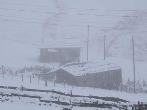 Doğu Karadeniz’in Yüksek Kesimlerinde Kar Kalınlığı 30 Santimetreyi Buldu
