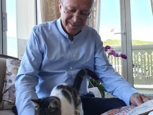 Cumhurbaşkanı Erdoğan Torununun Kedisiyle Olan Fotoğrafını Paylaştı