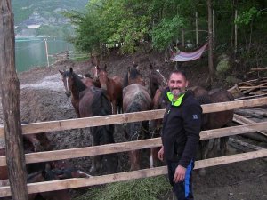 Artvin’de Ölüme Terk Edilen Atlara Barınak Bulunamayınca Genç Turizmci Tesisini Açtı