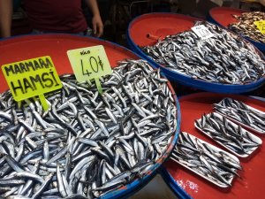 Hamsinin Fiyatı 40 Liraya Dayandı