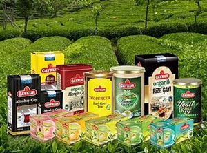 ÇAYKUR, Kuru Çay Satışında 100 Bin Tonu Geçti