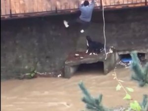 Dere Yatağında Mahsur Kalan Köpeği Vatandaşlar Kurtardı