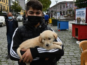 Trabzon’da 4 Ekim Dünya Hayvanları Koruma Günü Etkinlikleri