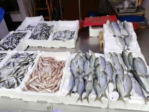 Hava Şartları Balık Fiyatlarını Olumsuz Etkiledi