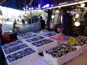 Karadeniz’de İstavritten Sonra Hamsi Bereketi
