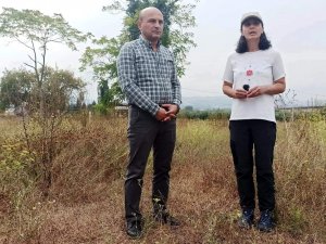 Altınova’da Helenistik Dönemden Bulgulara Rastlandı