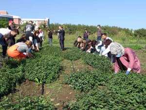 Üniversite Öğrencilerinden İlaç Sanayisine Destek