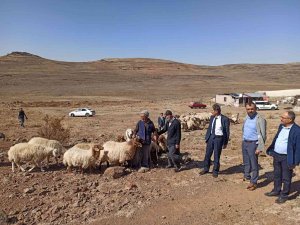 Sarıçiçek Yaylasındaki Su Sıkıntısı Çözüme Kavuşuyor
