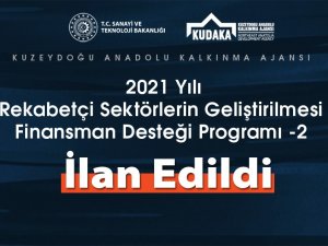 2021 Yılı Rekabetçi Sektörlerin Geliştirilmesi Finansman Desteği Programı İlan Edildi