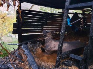 Gümüşhane’de Ahır Yangını