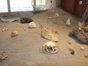 Mersin’e Yeni Yurt Yapılacak