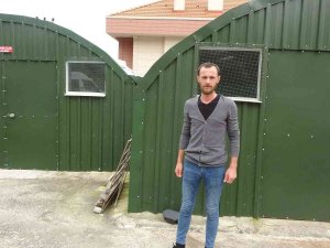 Bu Tesiste 10 Milyon Solucan Çalışıyor