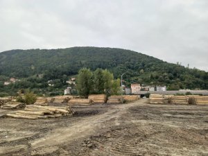 Ayancık Eski Kereste Fabrikası, Yıllar Sonra Orman Deposuna Dönüştü