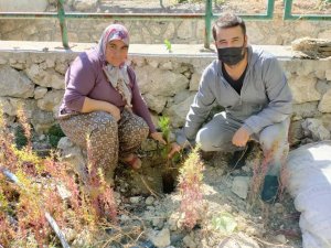 Engelli Vatandaşlar Adına Fidan Diktiler