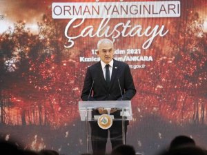 Bakan Pakdemirli: “Anayasamız Söyler, ’Yanan Alanlar Tekrar Ağaçlandırılır Ve Başka Amaçla Kullanılmaz.’ Nokta”