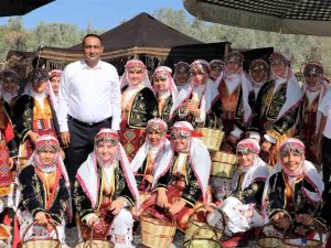 Toroslar Belediyesi Kivi Festivali Düzenliyor