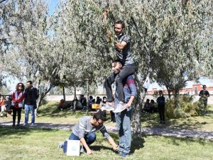 İ̇ğde Hasat Şenliğinde İğde Toplayıp Kıyasıya Yarıştılar