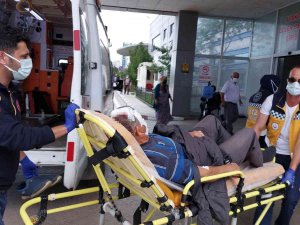 Mısır Ayıklama Makinesi Hastanelik Etti